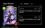 Magic Illusionist