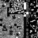 kalimdor_41_31_layer_1