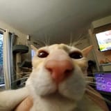 1742899521715204