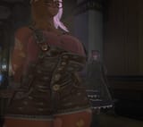 ffxiv_dx11_J2xlMH4GdD