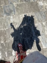 1727380025823619