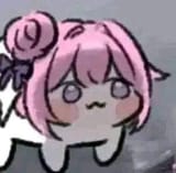 554545454