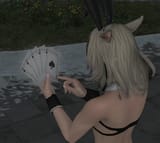1734100159851253
