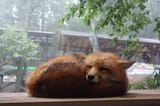 sleeeeeep-770x513-750317552