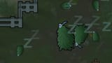 leafsheep farm