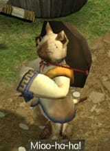 miao