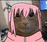 1735373070899813