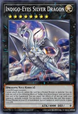 16699558