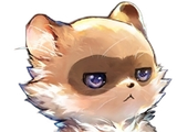 tanuki
