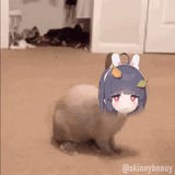miyu