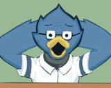 birdbrain