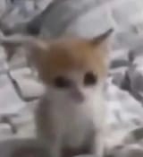 1736237656908622