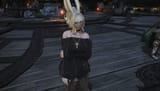 ffxiv_dx11 2025-04-04 15-10-39