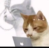 1752823773205662