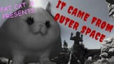 fatter cat