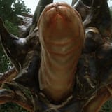 crab brapper (crapper)