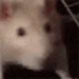 1625181362352