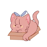 monikat11