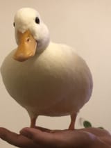 1747500981039106