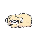 sheep lara