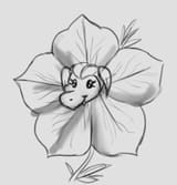 wani petunia