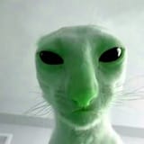 el_alienigena