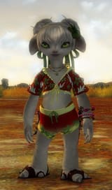 beachwear