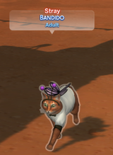 how terrifying!
