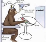 well trained monkey
