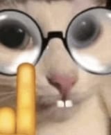 1730410970288664