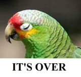 its-over