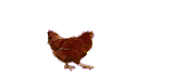 1748526055829161
