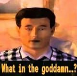 what_in_the_goddamn