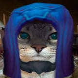 yorcat