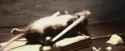 tenor_thumb.jpg