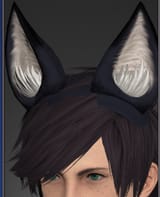 tamamo headband