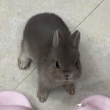 GuDkjnVXIAAxWH3