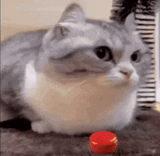 1742809007120324