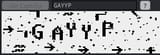 GAYY