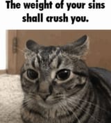1720431193668467