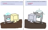shiroko bait
