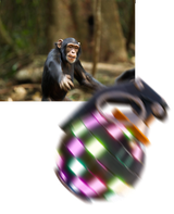 thinkfastshitass