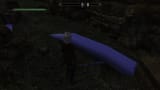 SkyrimSE 2025-06-24 23-37-51_477