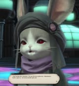 nigger rabbit speaks bars