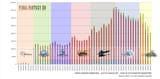 luckybancho_Q2-2025