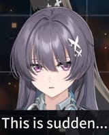 No Maid