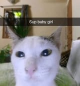 1729270196144649