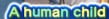 msedge_SkOP1JOYrf