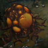 frimemoth