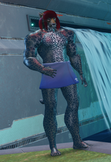 pso2_VslGq8HET5
